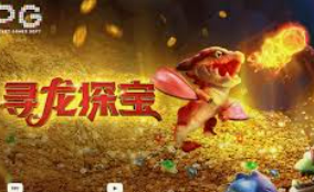 壹号.ccm下载1682024最新版