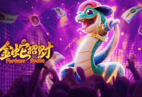 壹号.ccm下载168最新版