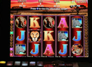 壹号.ccm下载168最新版